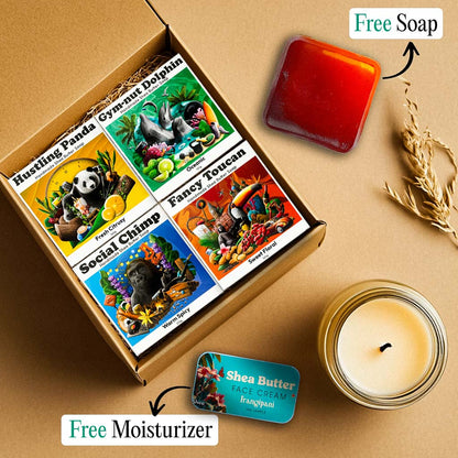 4-PACK Assorted + 2 FREE GIFTS