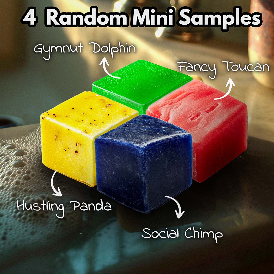 Shea Minis - 4 Cube Sampler